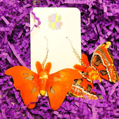 Atlas Moth Earrings