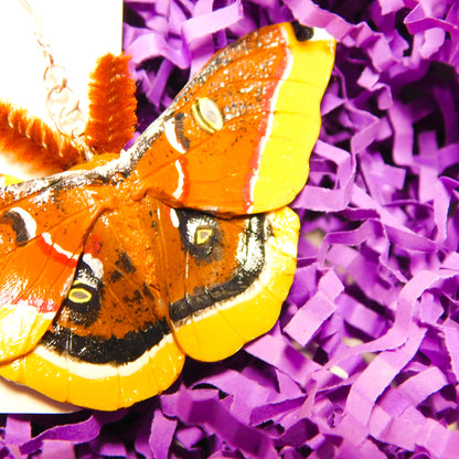 Polyphemus Moth Earrings